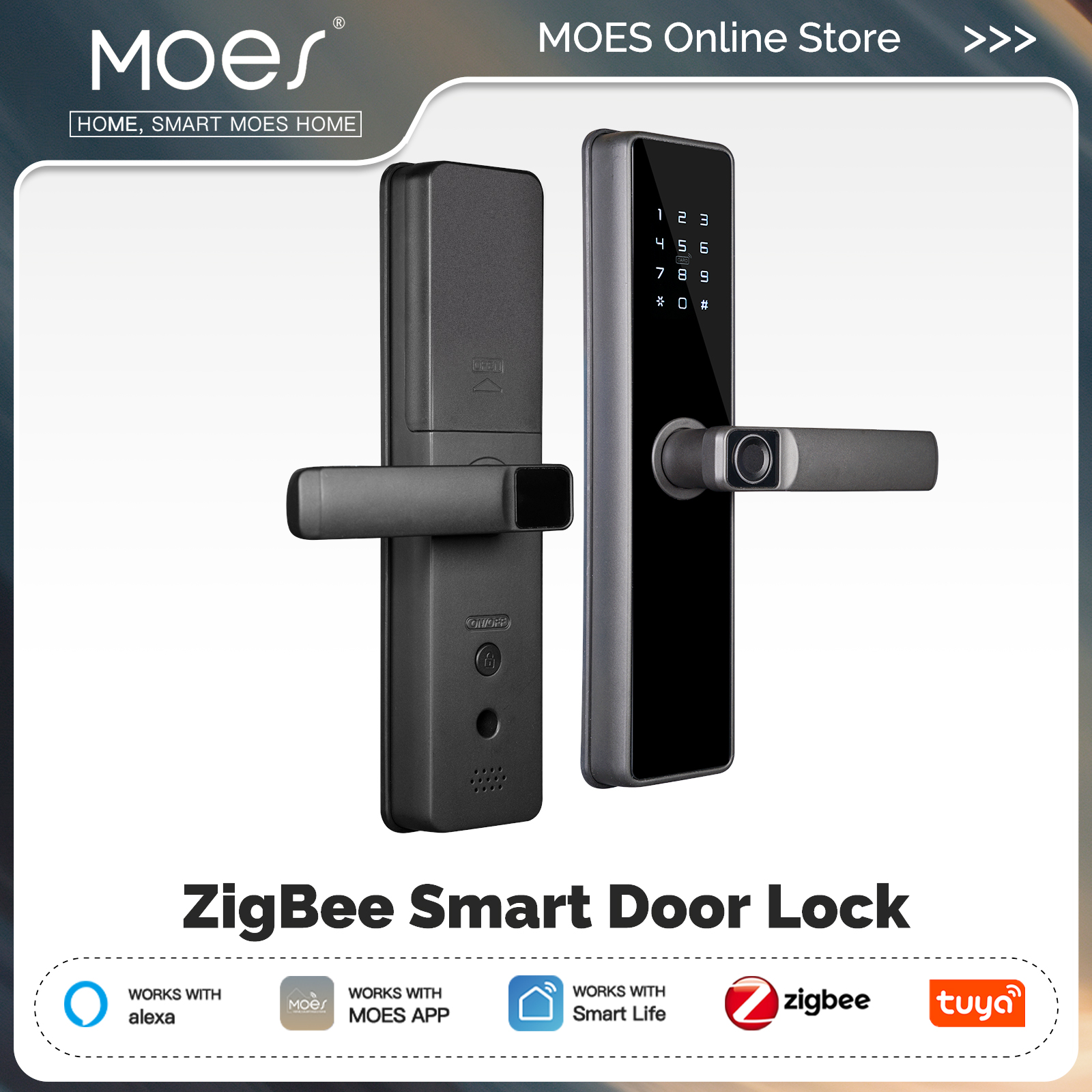 Home Security Tapo - MOES Tuya ZigBee Smart Door Lock