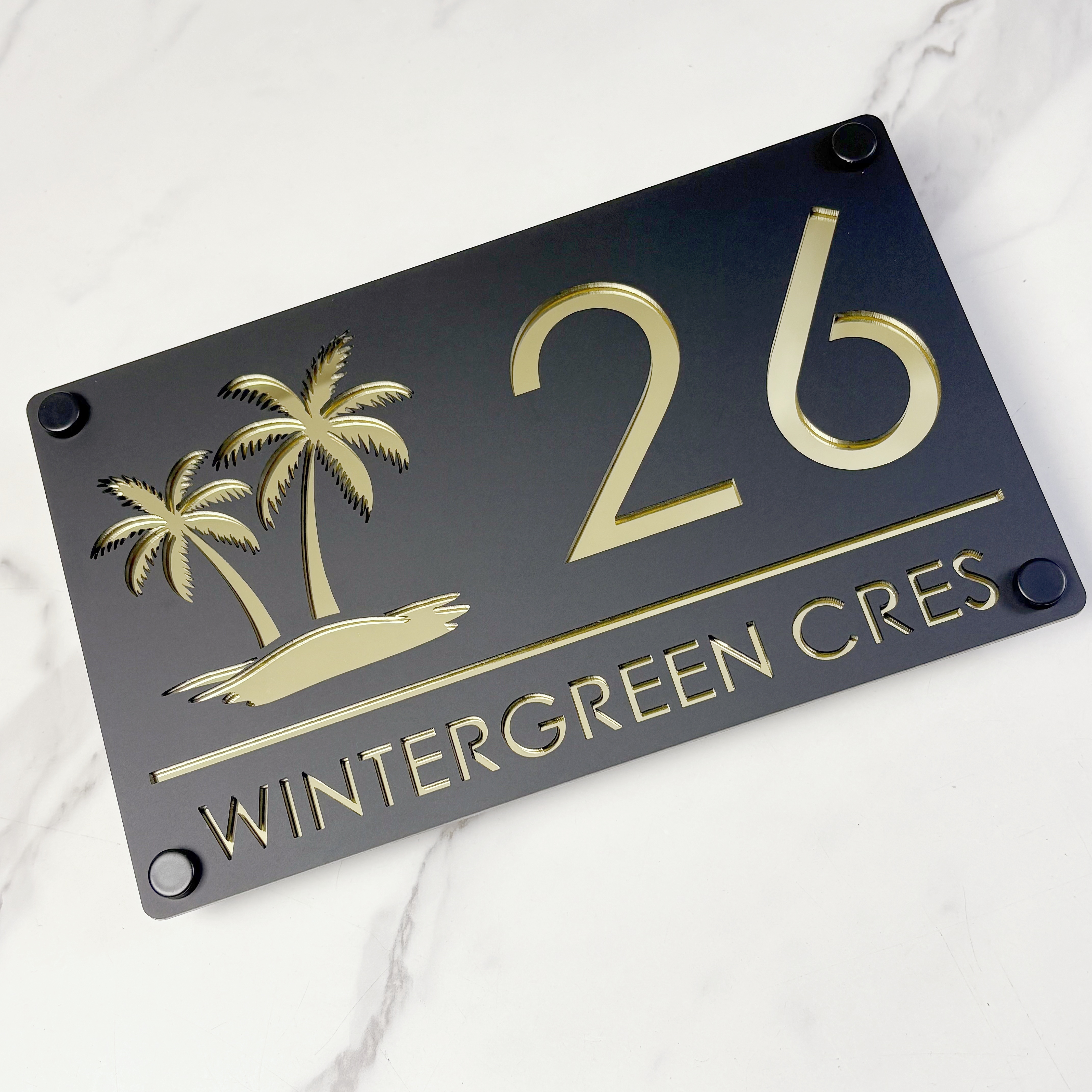 Modern Personalized Custom Hou - Home Security Laser recension och pris