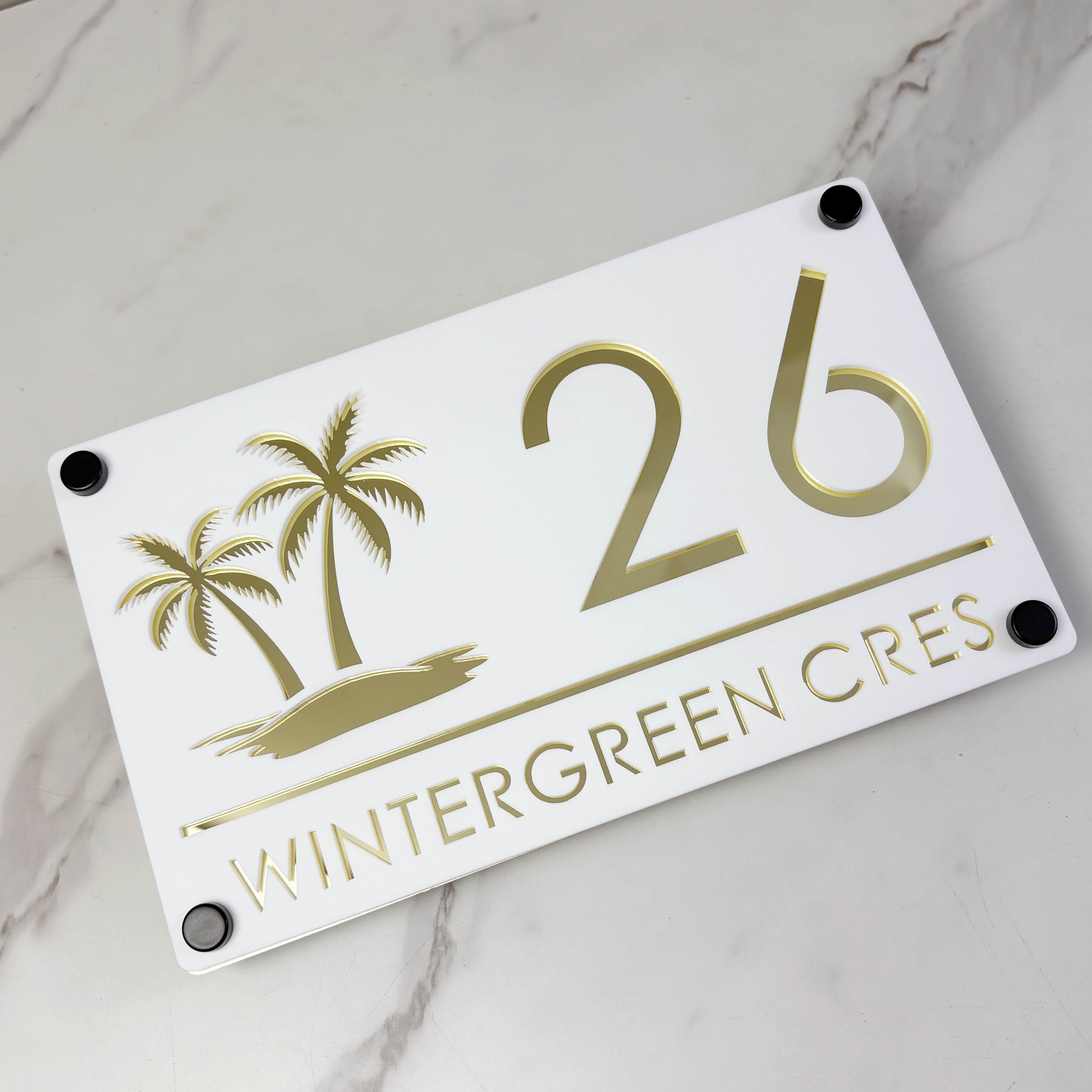 Modern Personalized Custom Hou - Home Security Laser recension och pris