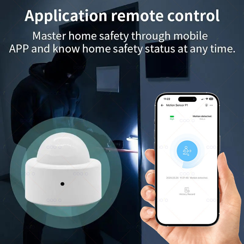 Zigbee Mini PIR Motion Sensor  - Home Security Alarm recension och pris